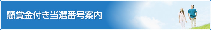 懸賞金付き当選番号案内